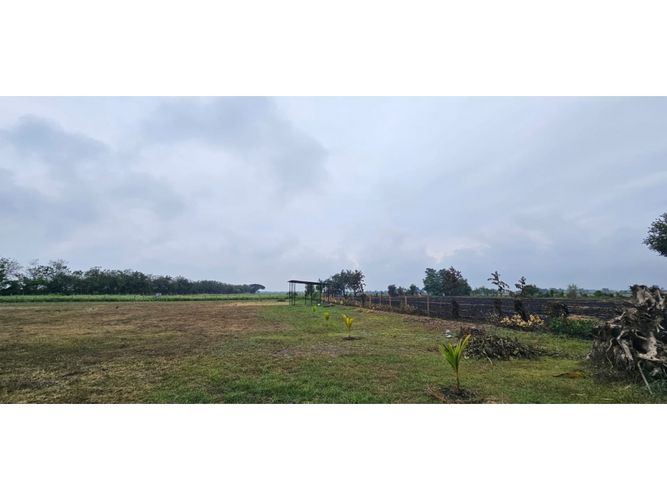 Lote en venta en La Herradura, Palmira, 5000 m² · foto 14 de 18