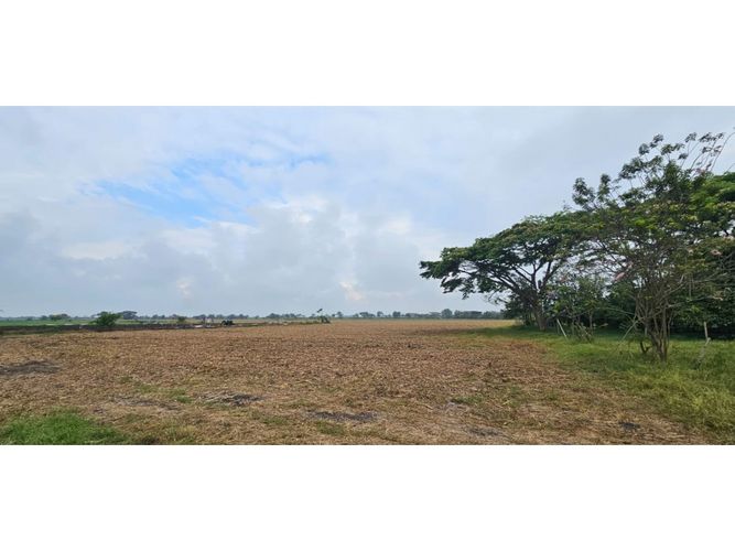 Lote en venta en La Herradura, Palmira, 5000 m² · foto 15 de 18