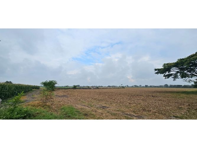Lote en venta en La Herradura, Palmira, 5000 m² · foto 16 de 18