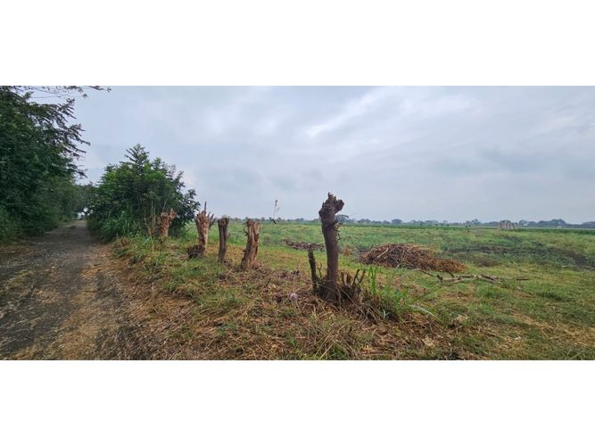 Lote en venta en La Herradura, Palmira, 5000 m² · foto 17 de 18