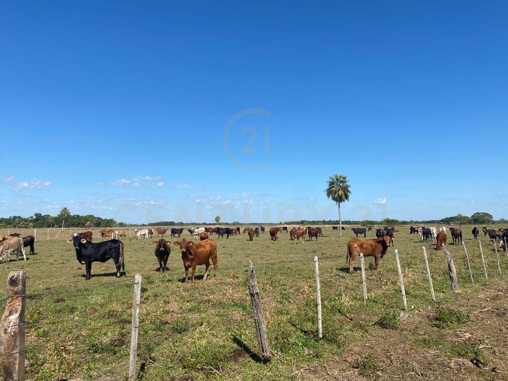 EN VENTA | Estancia de 4.197 Ha en San Juan Bautista, Ñeembucú — foto 2