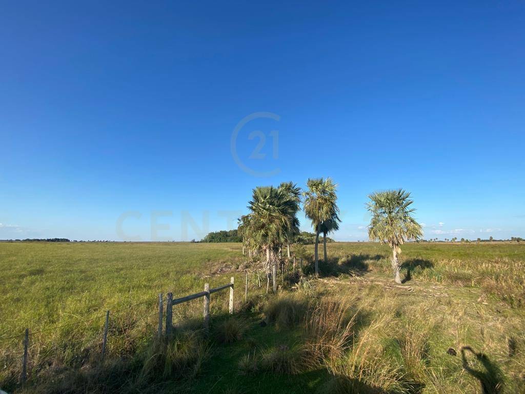 EN VENTA | Estancia de 4.197 Ha en San Juan Bautista, Ñeembucú — foto 3