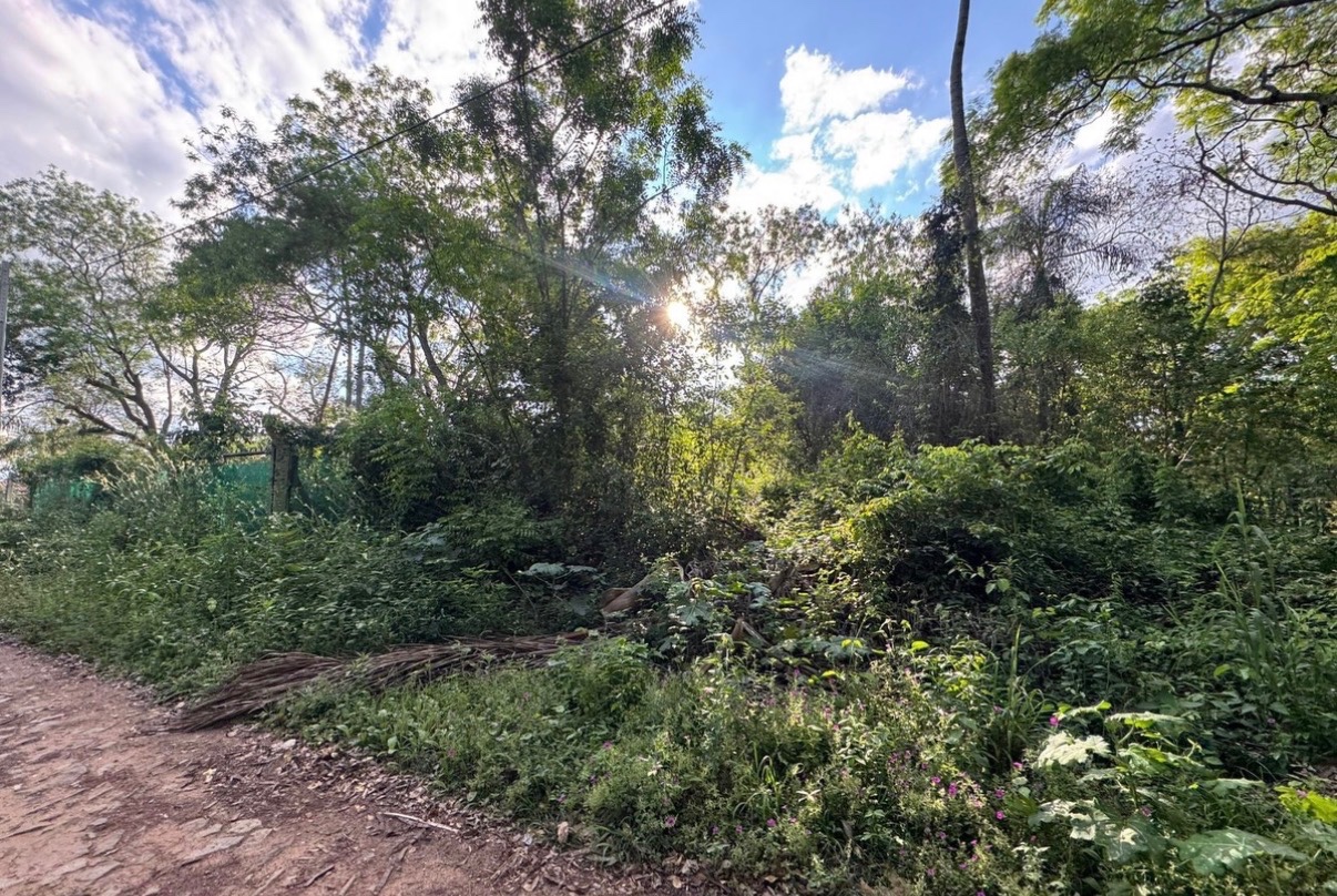 En venta! Terrenos zona Lago azul en San Bernardino  a media cuadra del Lago de 1296 m2 — foto 2