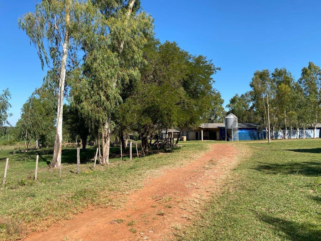 EN VENTA | Terreno de 24 Ha en Isla Bogado, Luque — foto 2