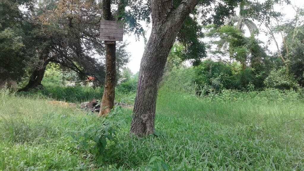 Terreno en venta en Lambaré – Cercanías del Yacht — foto 2