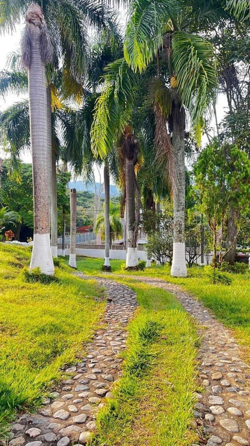 Casa de 6 alcobas en venta en La Riverita, Cali, 930 m² · foto 20 de 22