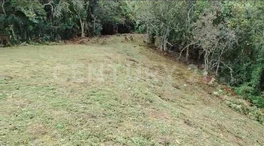 Lote en venta en Pantanillo, Envigado, 9900 m² · foto 3 de 19