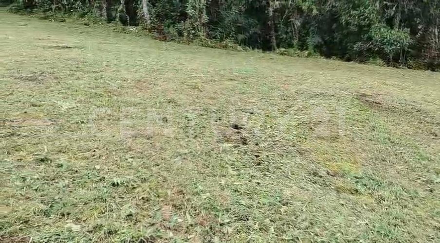 Lote en venta en Pantanillo, Envigado, 9900 m² · foto 4 de 19