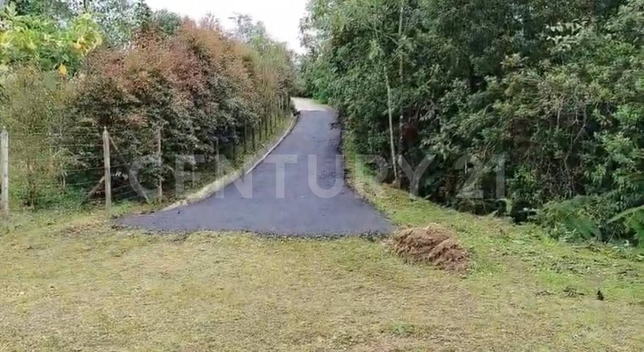 Lote en venta en Pantanillo, Envigado, 9900 m² · foto 7 de 19
