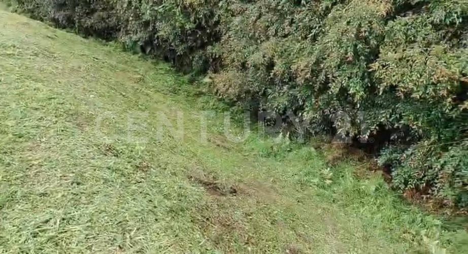 Lote en venta en Pantanillo, Envigado, 9900 m² · foto 8 de 19
