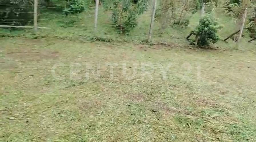 Lote en venta en Pantanillo, Envigado, 9900 m² · foto 9 de 19