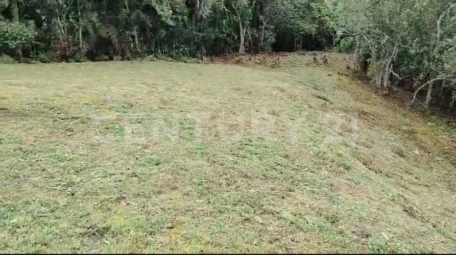 Lote en venta en Pantanillo, Envigado, 9900 m² · foto 10 de 19