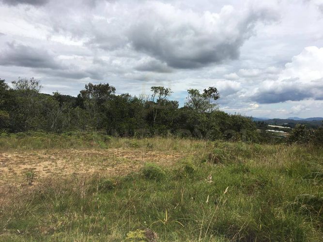 Lote en venta en Pantanillo, Envigado, 9900 m² · foto 11 de 19
