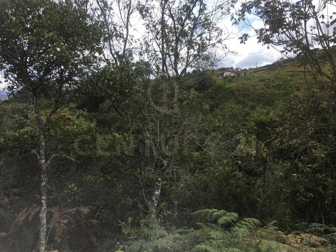 Lote en venta en Pantanillo, Envigado, 9900 m² · foto 12 de 19