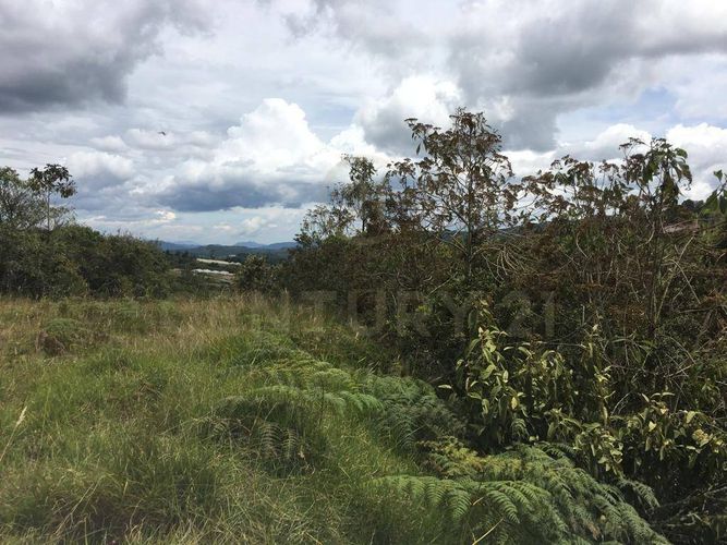 Lote en venta en Pantanillo, Envigado, 9900 m² · foto 14 de 19