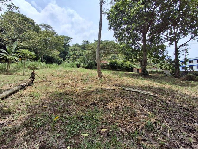 Lote en venta en El Volador, Piedecuesta, 1491 m² · foto 3 de 12