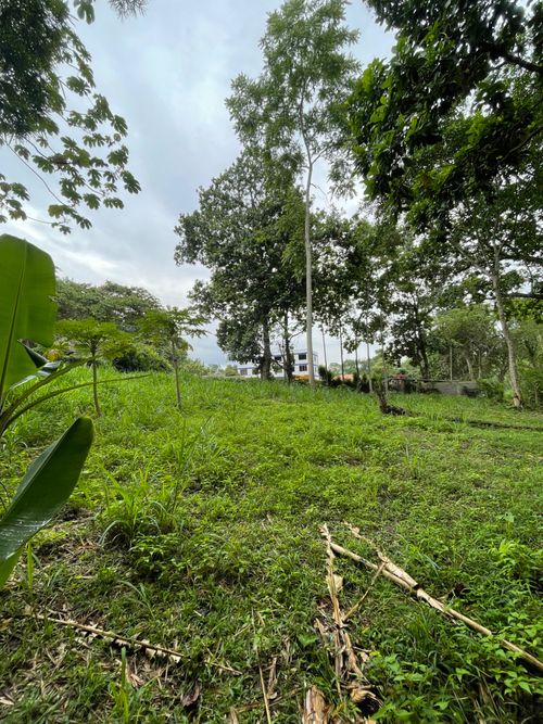 Lote en venta en El Volador, Piedecuesta, 1491 m² · foto 8 de 12