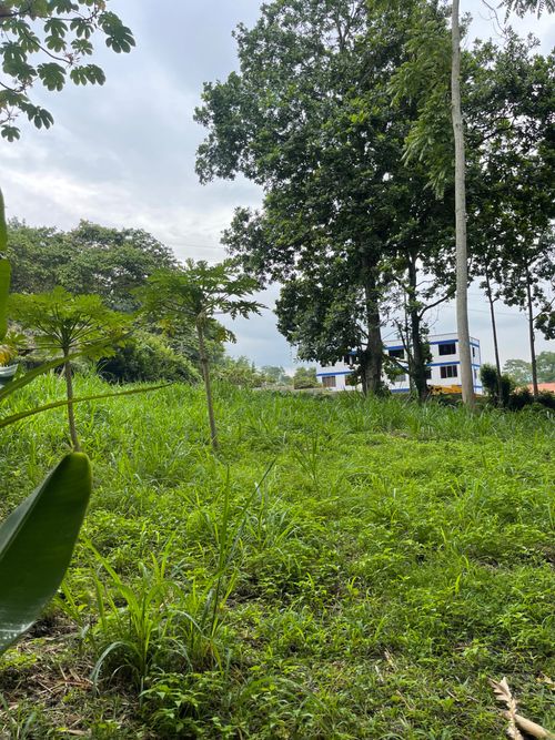 Lote en venta en El Volador, Piedecuesta, 1491 m² · foto 9 de 12