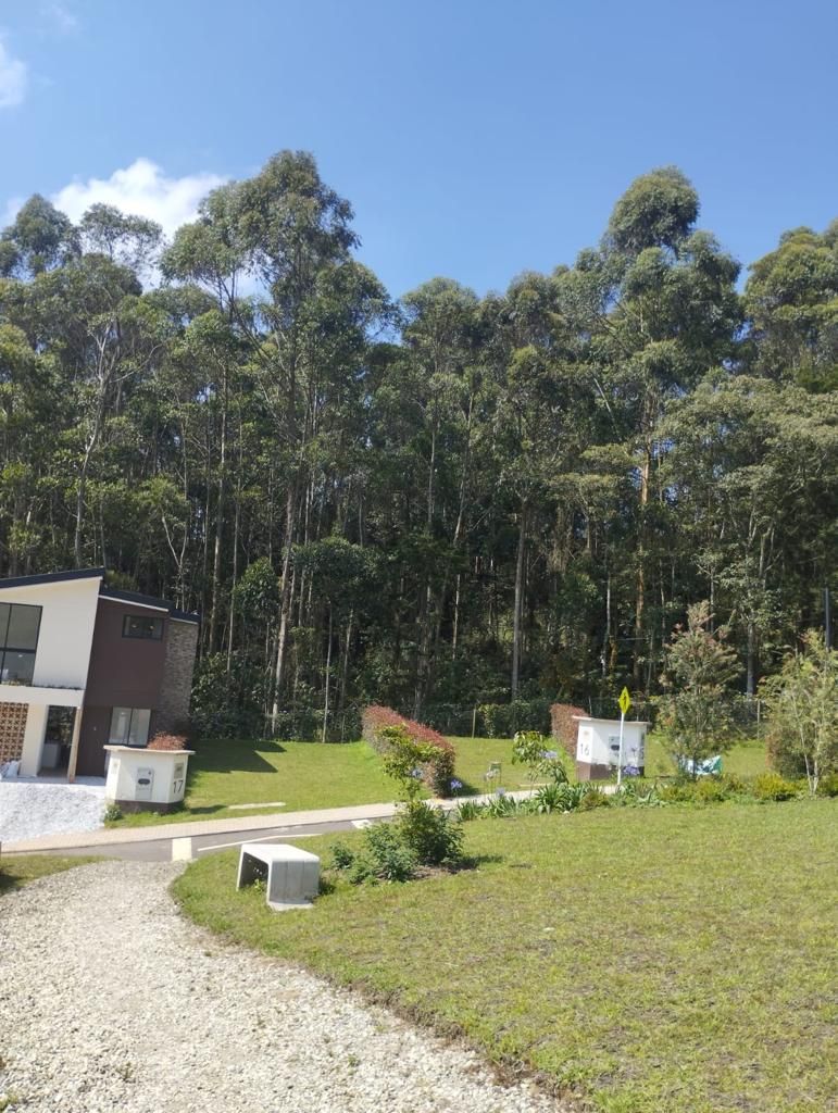 Land in Galicia (185 m²) for Sale - 3