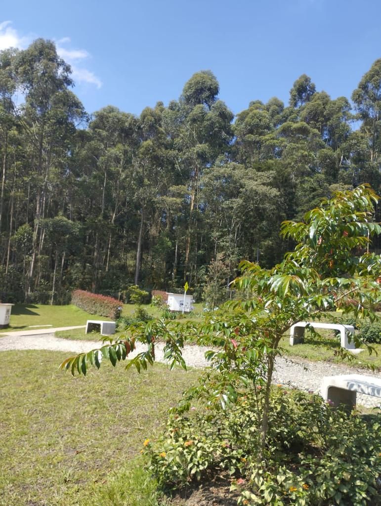 Land in Galicia (185 m²) for Sale - 4