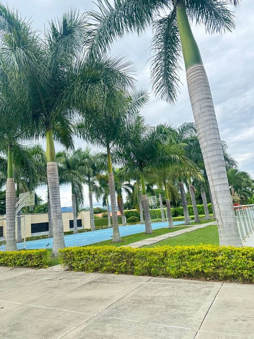 Lote en venta en Rozo, Palmira, 958 m² · foto 22 de 24