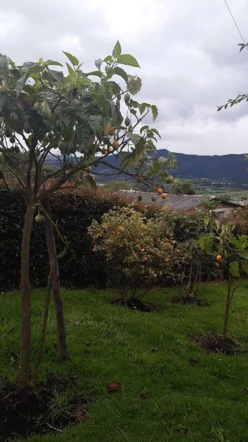 Casa de 4 alcobas en venta en Bella Vista, Sopó, 240 m² · foto 24 de 24
