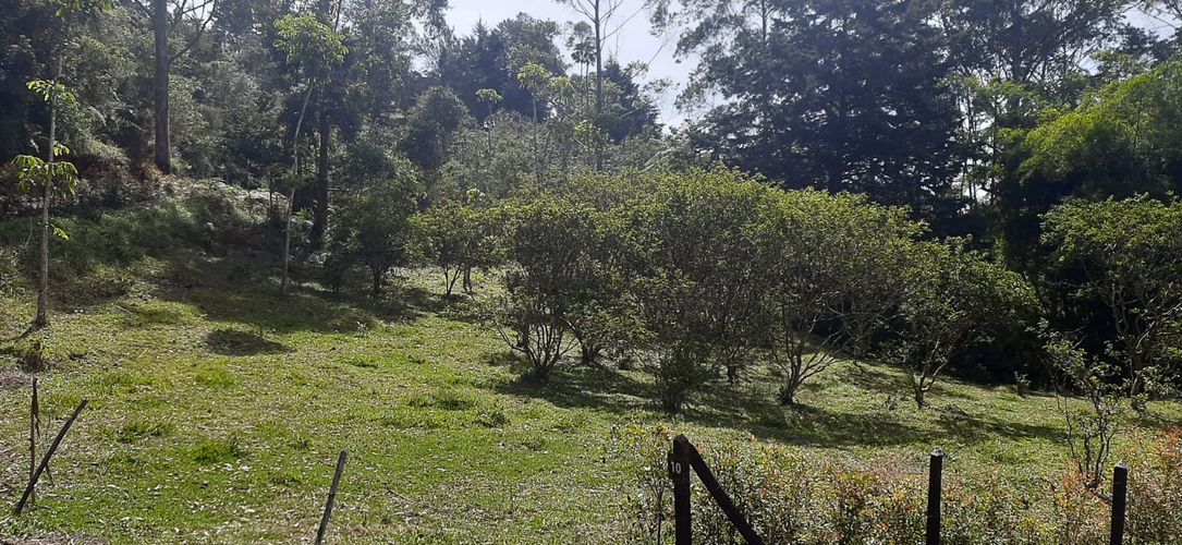 Lote en venta en La Pe�A, Marinilla, 6400 m² · foto 3 de 12