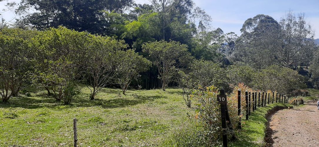 Lote en venta en La Pe�A, Marinilla, 6400 m² · foto 4 de 12