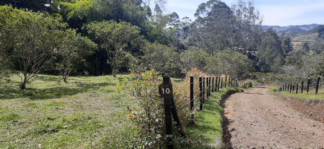 Lote en venta en La Pe�A, Marinilla, 6400 m² · foto 5 de 12