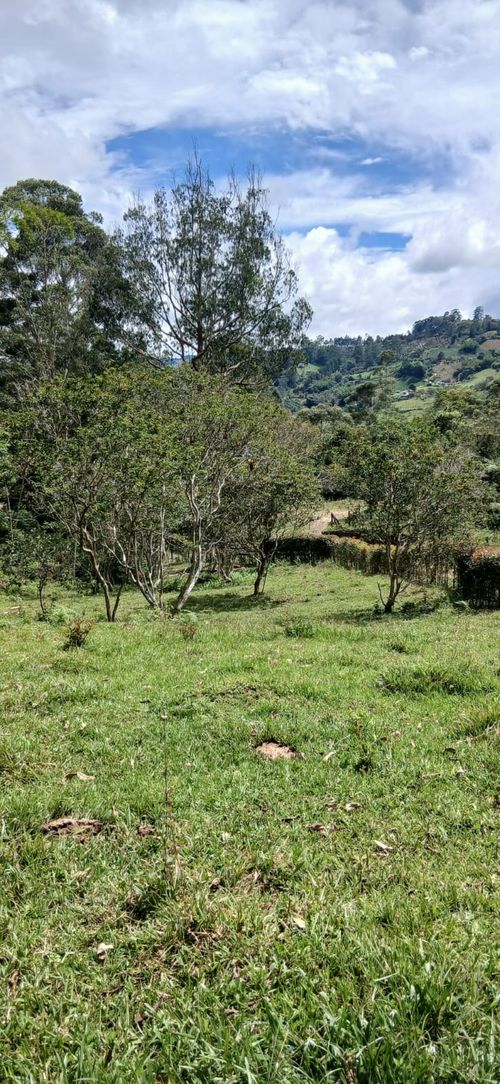 Lote en venta en La Pe�A, Marinilla, 6400 m² · foto 7 de 12