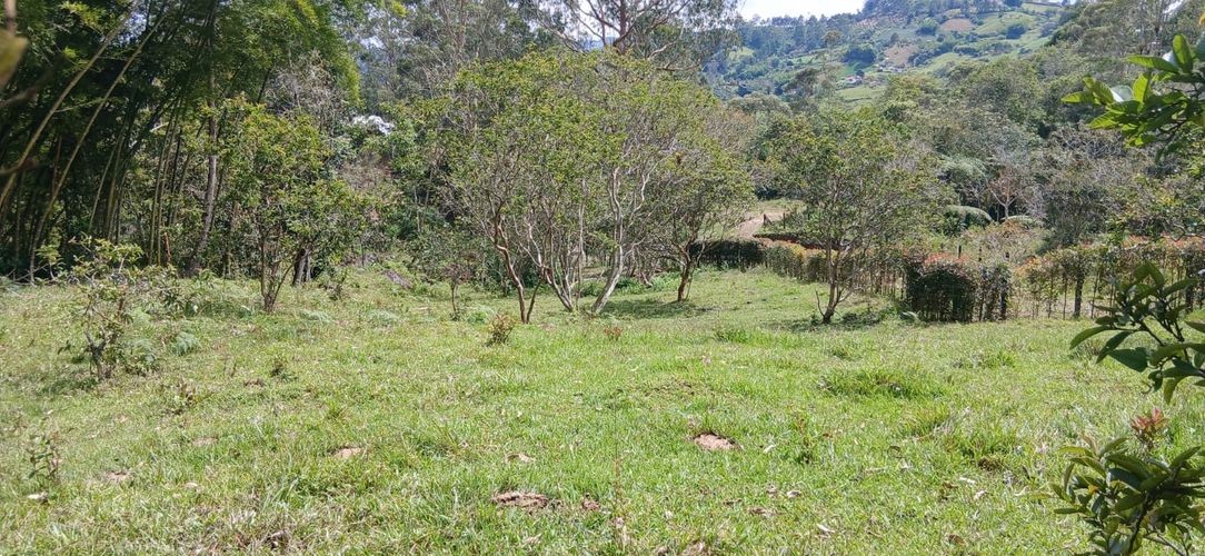 Lote en venta en La Pe�A, Marinilla, 6400 m² · foto 9 de 12