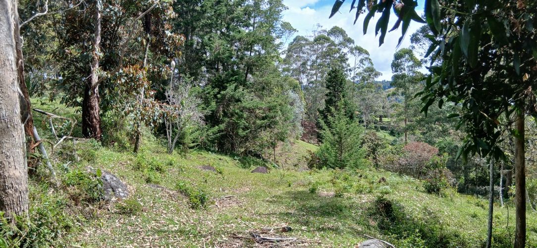 Lote en venta en La Pe�A, Marinilla, 6400 m² · foto 10 de 12