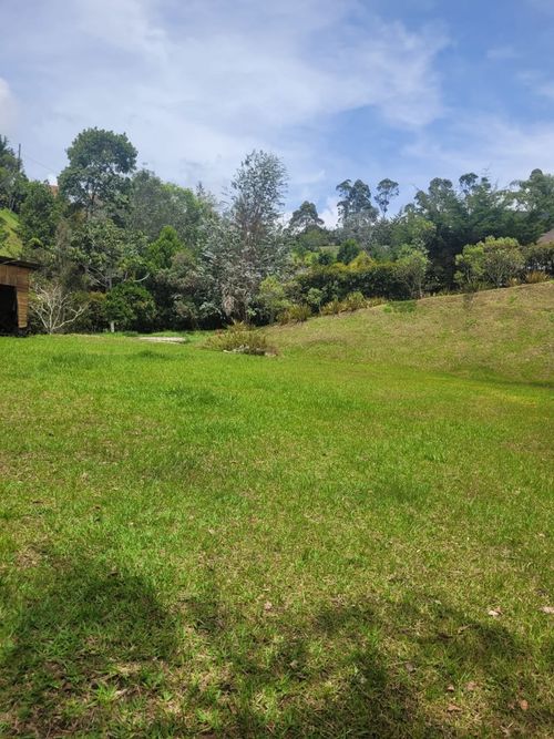 Lote en venta en Santa Ana, El Carmen de Viboral, 3900 m² · foto 4 de 16