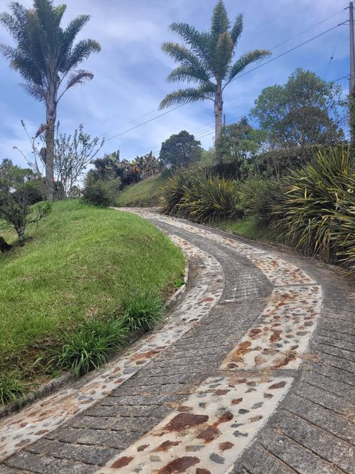 Lote en venta en Santa Ana, El Carmen de Viboral, 3900 m² · foto 6 de 16