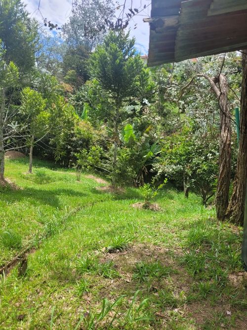 Lote en venta en Santa Ana, El Carmen de Viboral, 3900 m² · foto 15 de 16