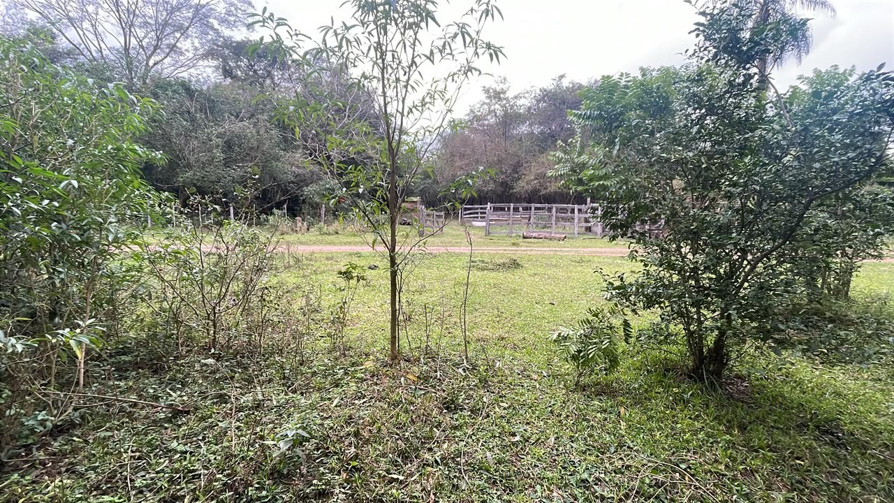 Vendo 6,5 hectáreas en Ybycui — foto 2