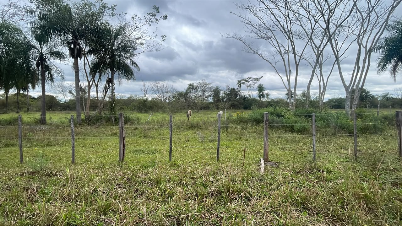 Vendo 6,5 hectáreas en Ybycui — foto 3