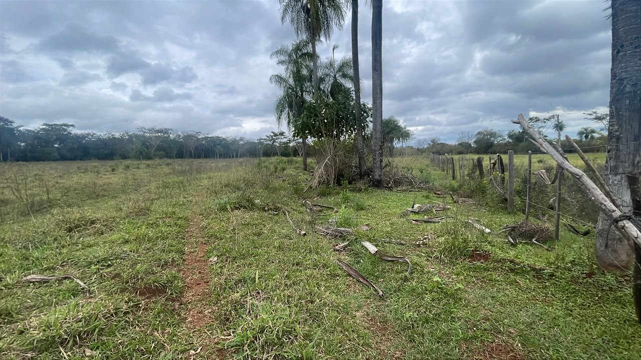 Vendo 3,5 hectáreas en Ybycui — foto 3