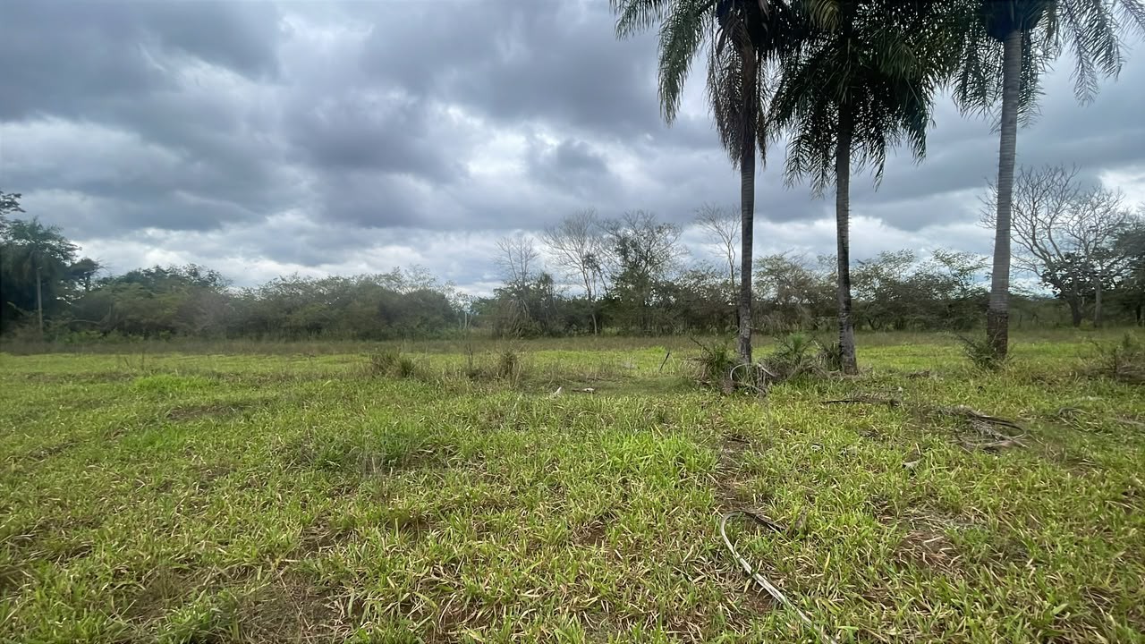 Vendo 3,5 hectáreas en Ybycui — foto 2