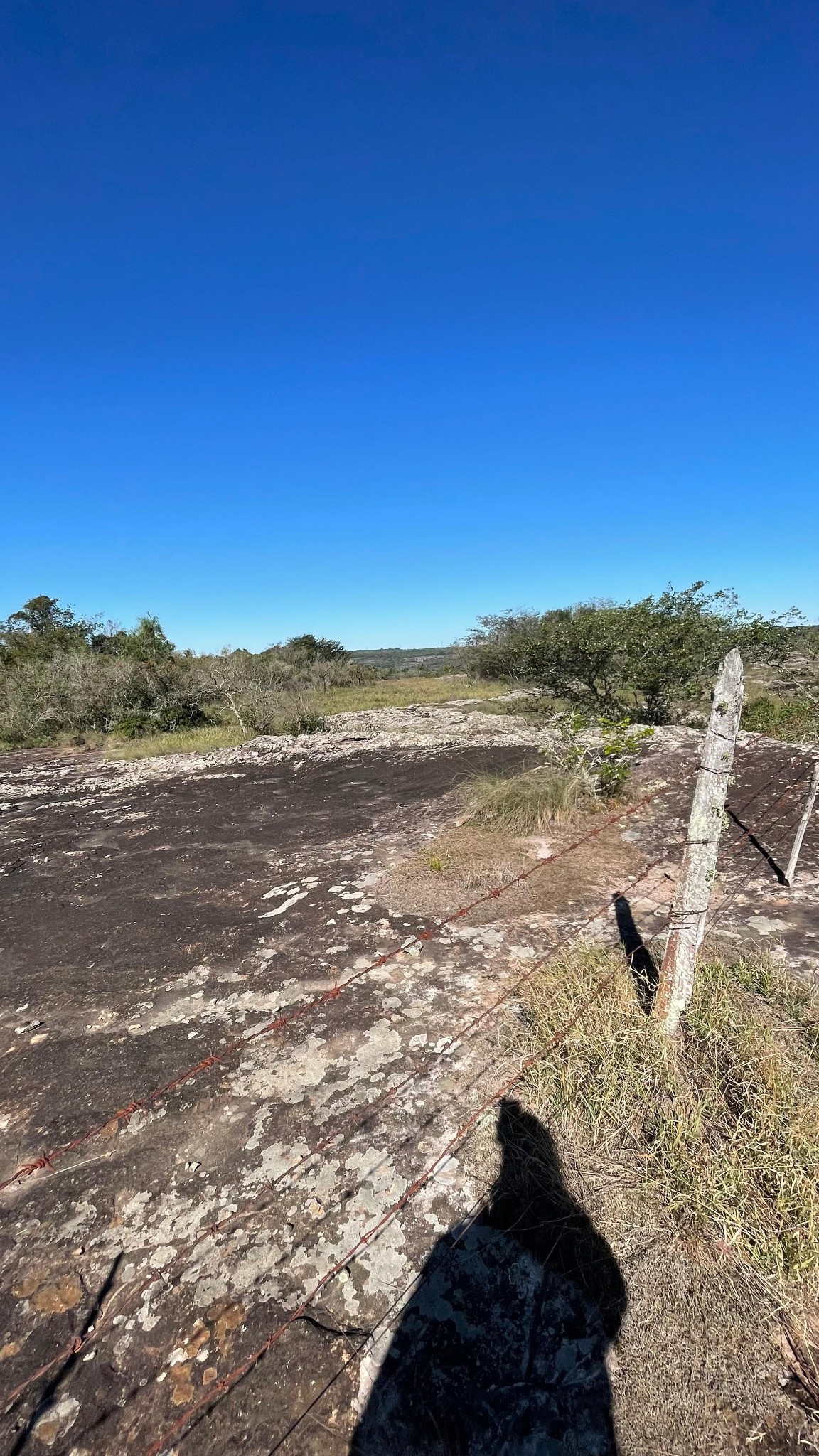 Hermosa propiedad de 12 hectáreas con arroyito y naciente en Piribebuy - Colonia Pirareta — foto 2