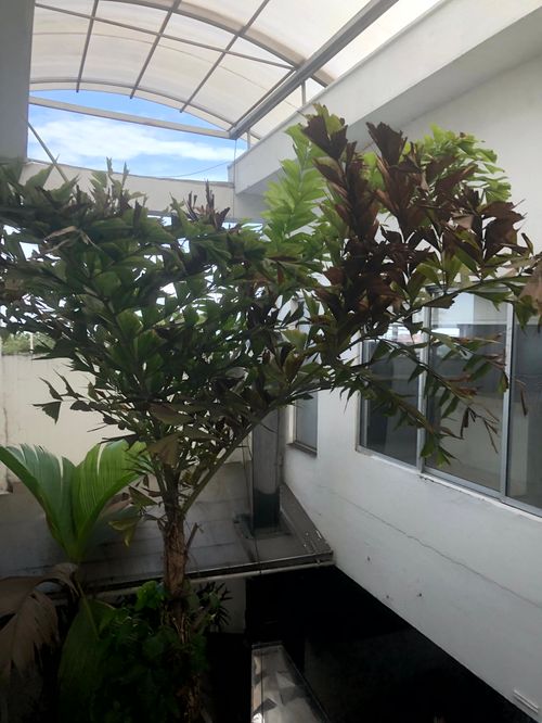 Casa de 2 alcobas en venta en Grama, Villavicencio, 400 m² · foto 19 de 20
