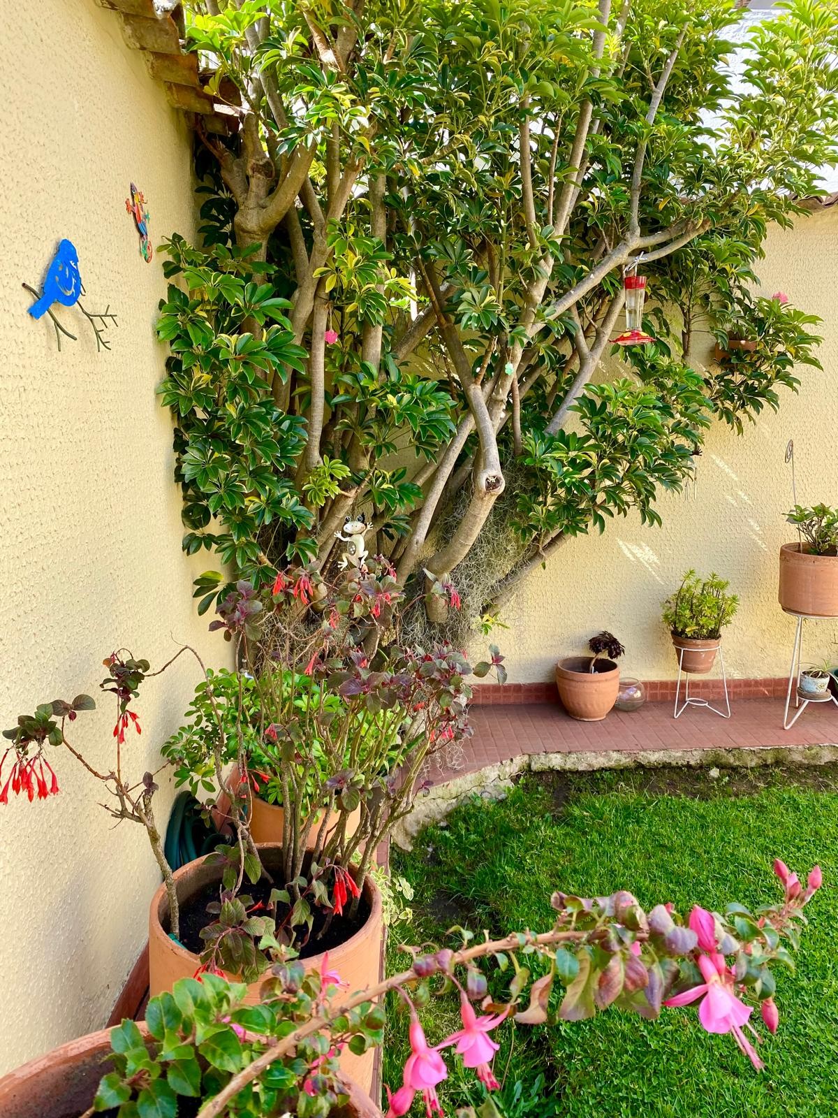 Casa en venta en Santa Lucia, Chía · foto 19 de 24