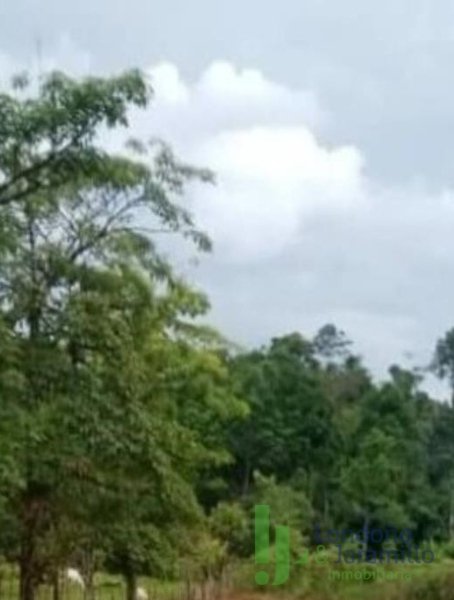 Land in Cabeceras de llanogrande for Sale - 4