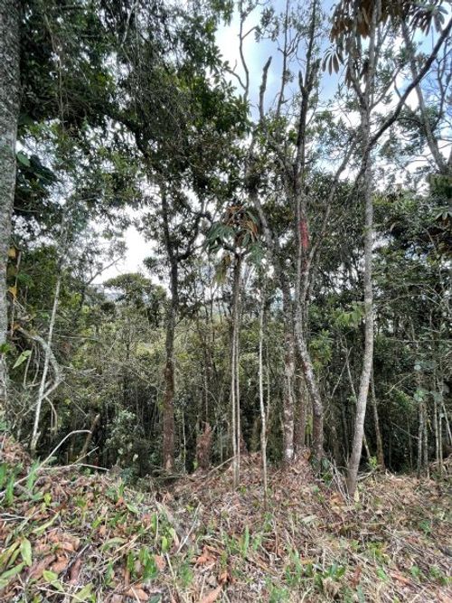 Lote en venta en Las Palmas, Envigado, 1494 m² · foto 12 de 12
