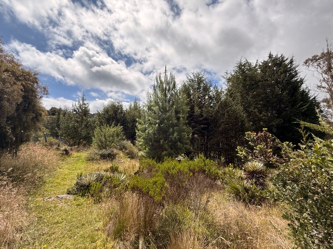 Casa de 4 alcobas en venta en Hoya Teusaca, Bogotá, 326 m² · foto 16 de 20
