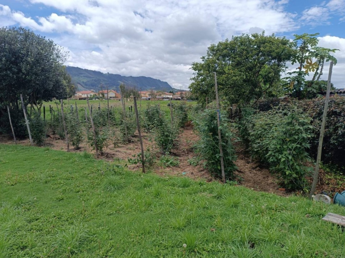 Casa en venta en Chuntame, Cajicá · foto 7 de 11