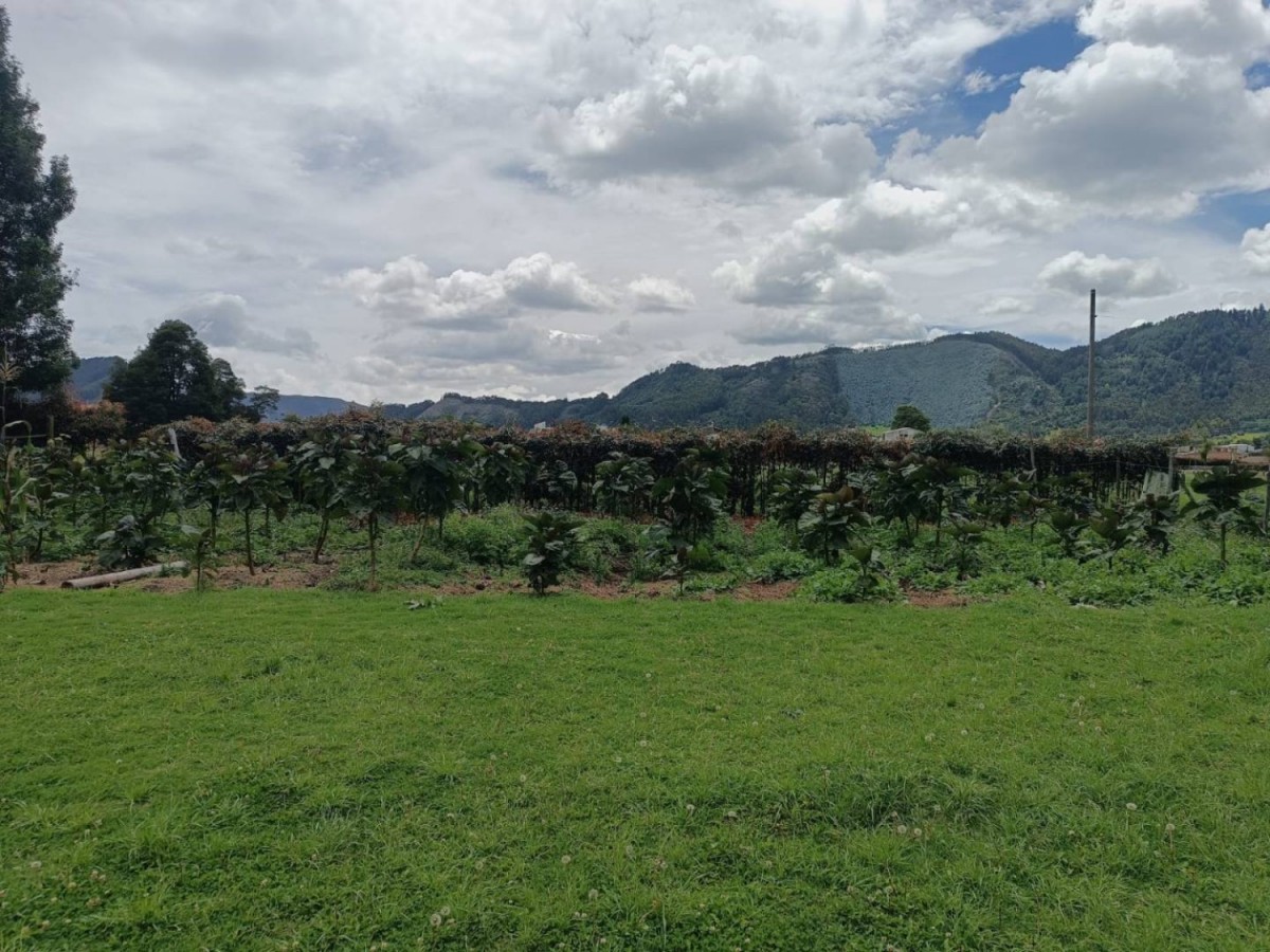 Casa en venta en Chuntame, Cajicá · foto 11 de 11