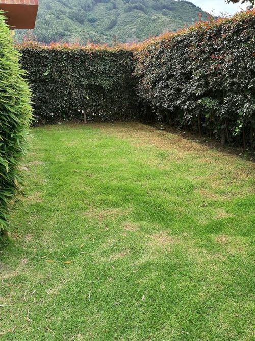 Casa de 4 alcobas en venta en Fonquetá, Chía, 500 m² · foto 9 de 16