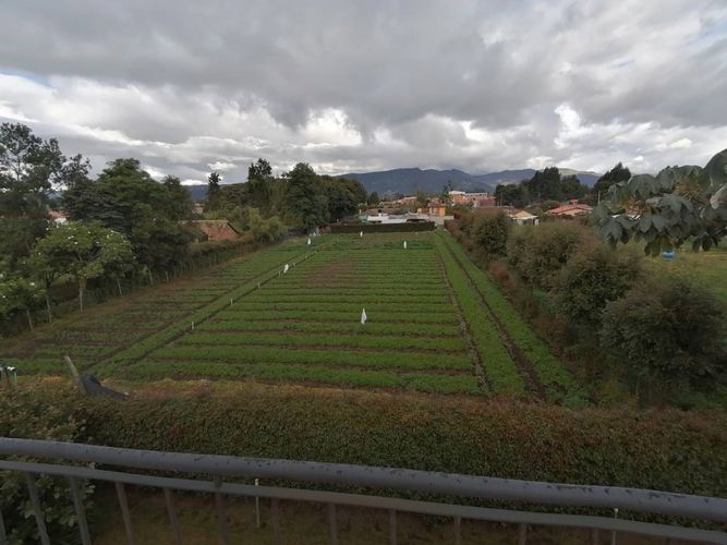 Casa de 4 alcobas en venta en Fonquetá, Chía, 500 m² · foto 15 de 16