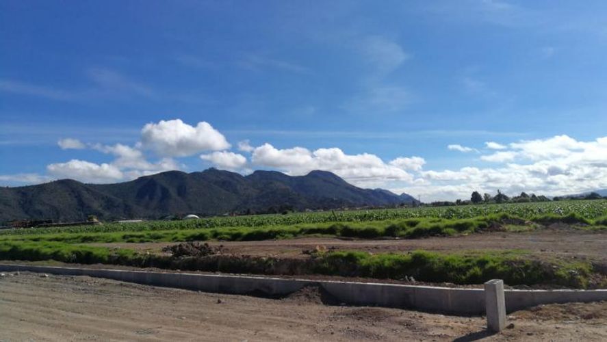 Lote en venta en Siberia, Cota, 50000 m² · foto 5 de 9